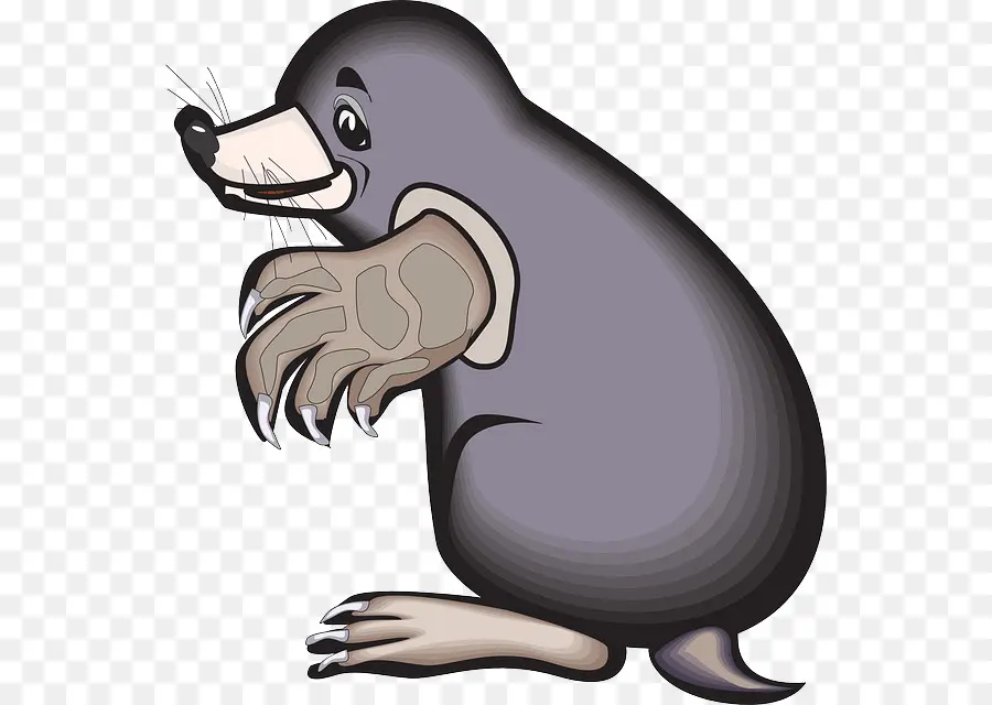 Animación，Mole PNG