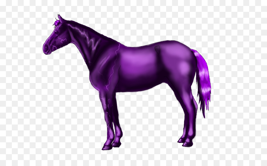 Pura Sangre，Pony PNG