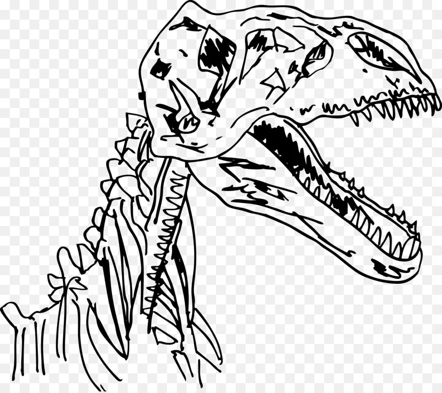 Velociraptor，Dinosaurio PNG