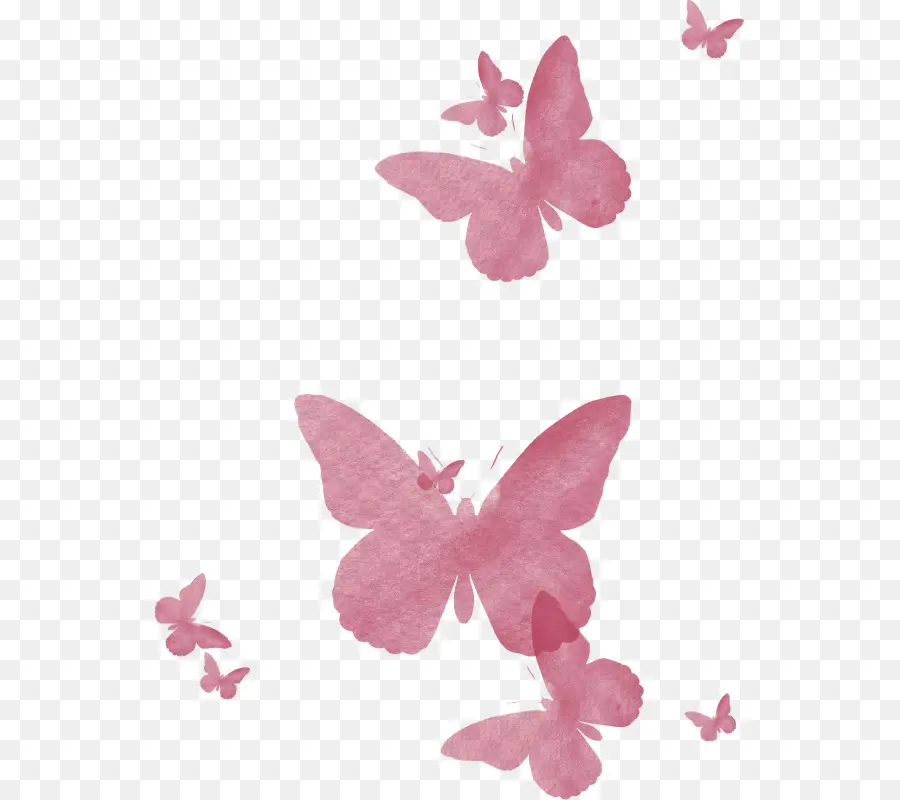 Mariposas，Rosa PNG