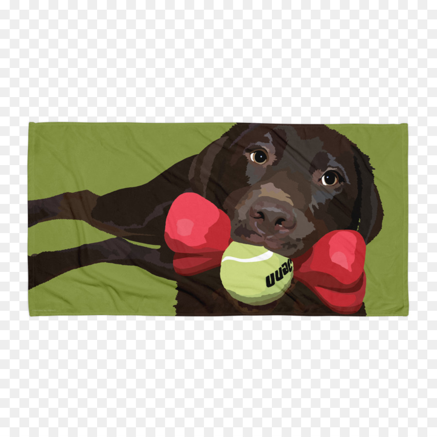 Labrador Retriever，Boykin Spaniel PNG