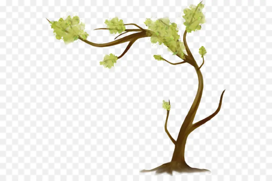 Árbol，Naturaleza PNG