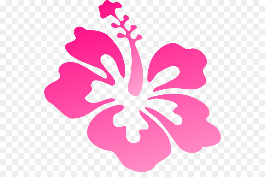 Hibiscus Hawaiian，Dibujo PNG