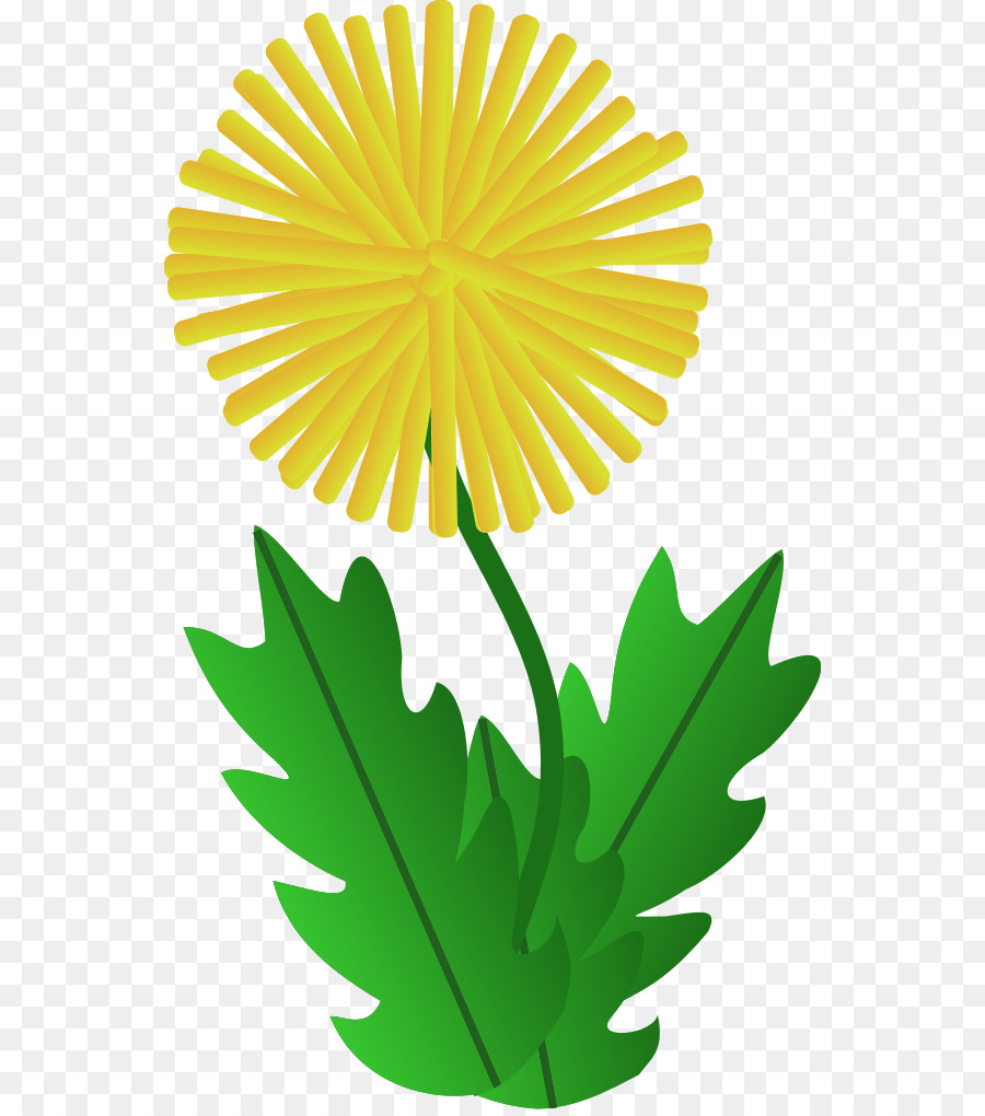 Diente De León，Iconos De Equipo PNG