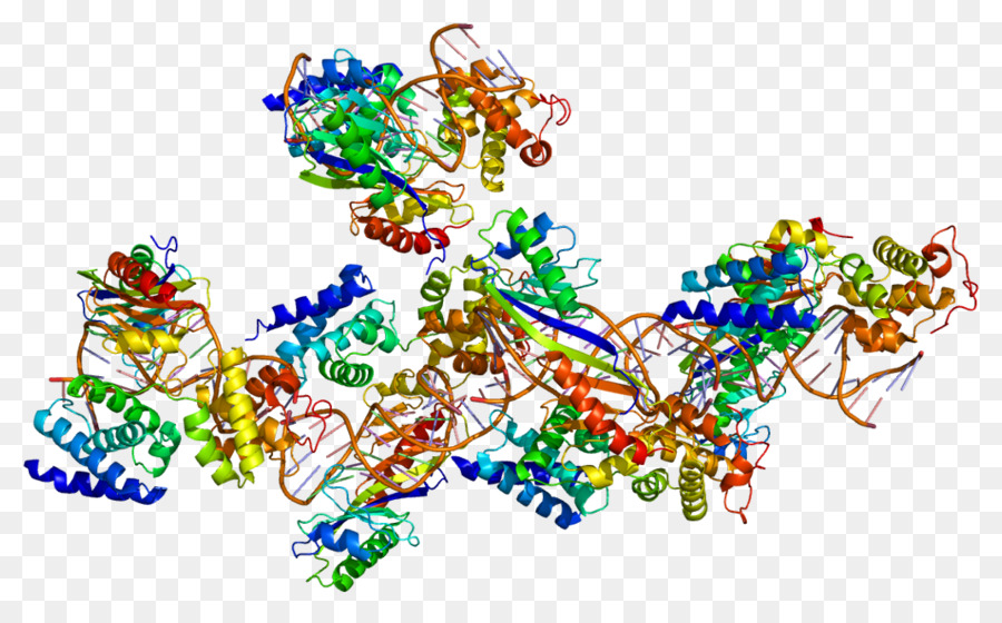 Tatabinding Proteína，Factor De Transcripción Ii B PNG