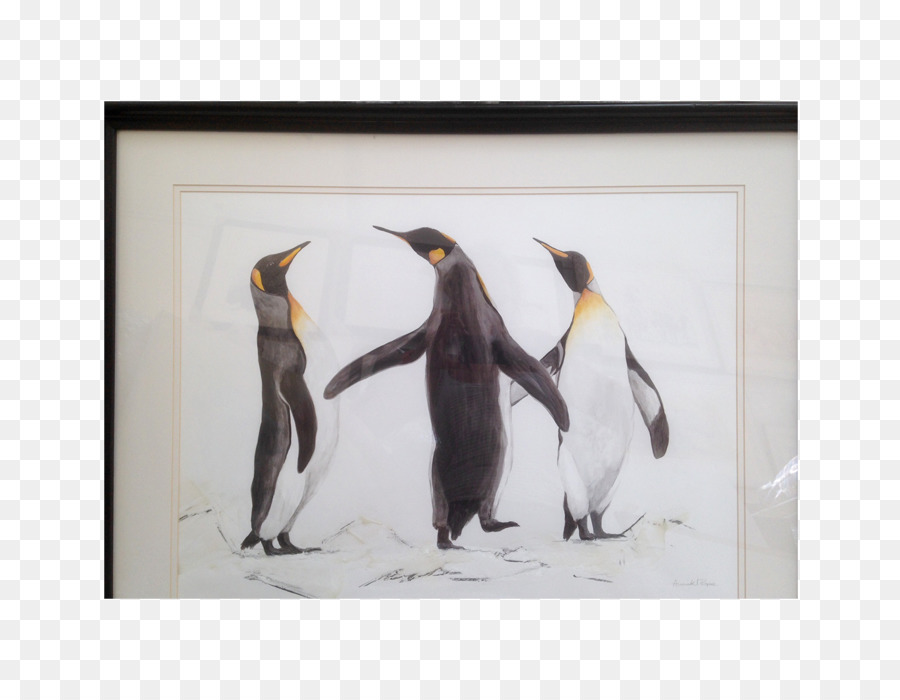 Penguin，Pájaro PNG