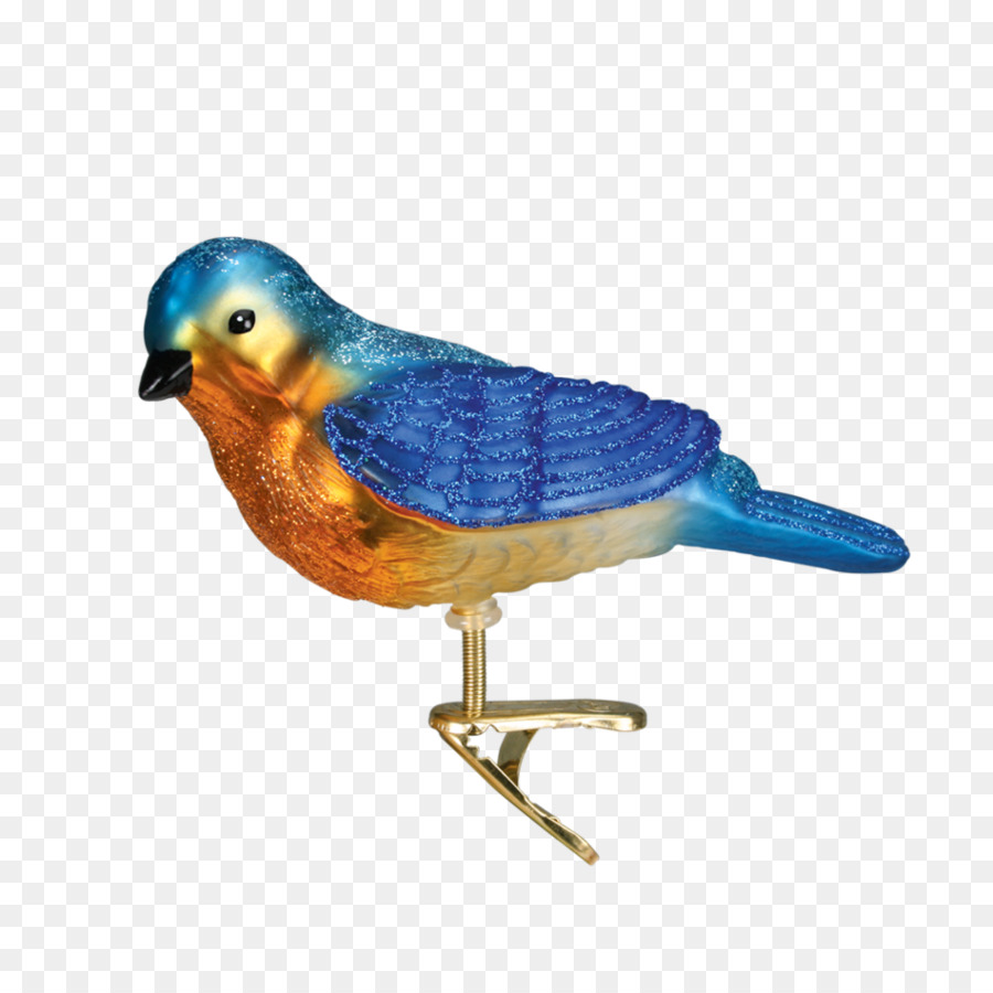 Pájaro，Occidental Bluebird PNG