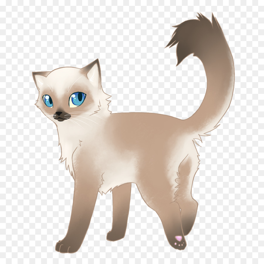 Lindo Gato，Ojos Azules PNG