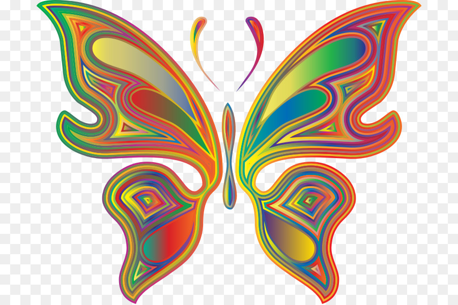 Mariposa Colorida，Estampado PNG