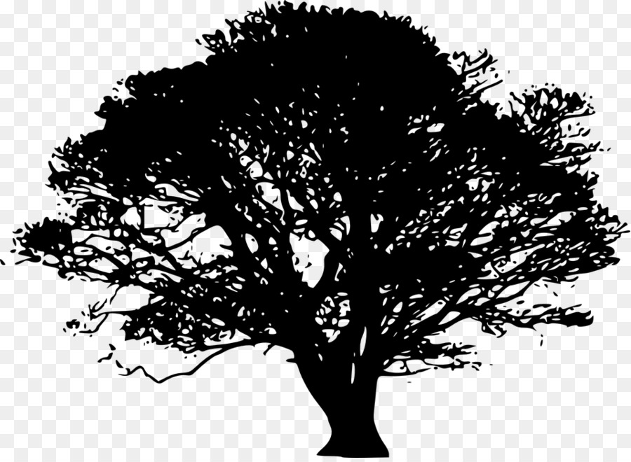 Silueta De Arbol，Planta PNG