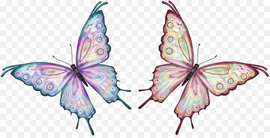 Mariposa，Animación PNG