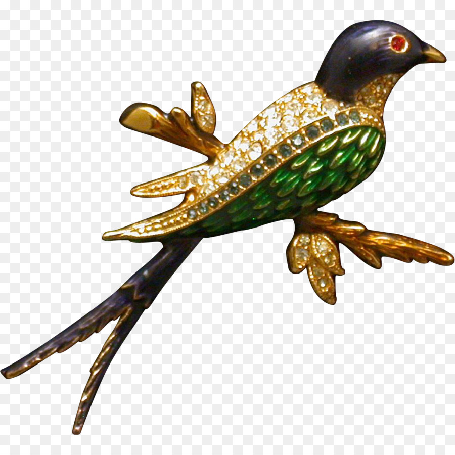 Pájaro，Piciformes PNG