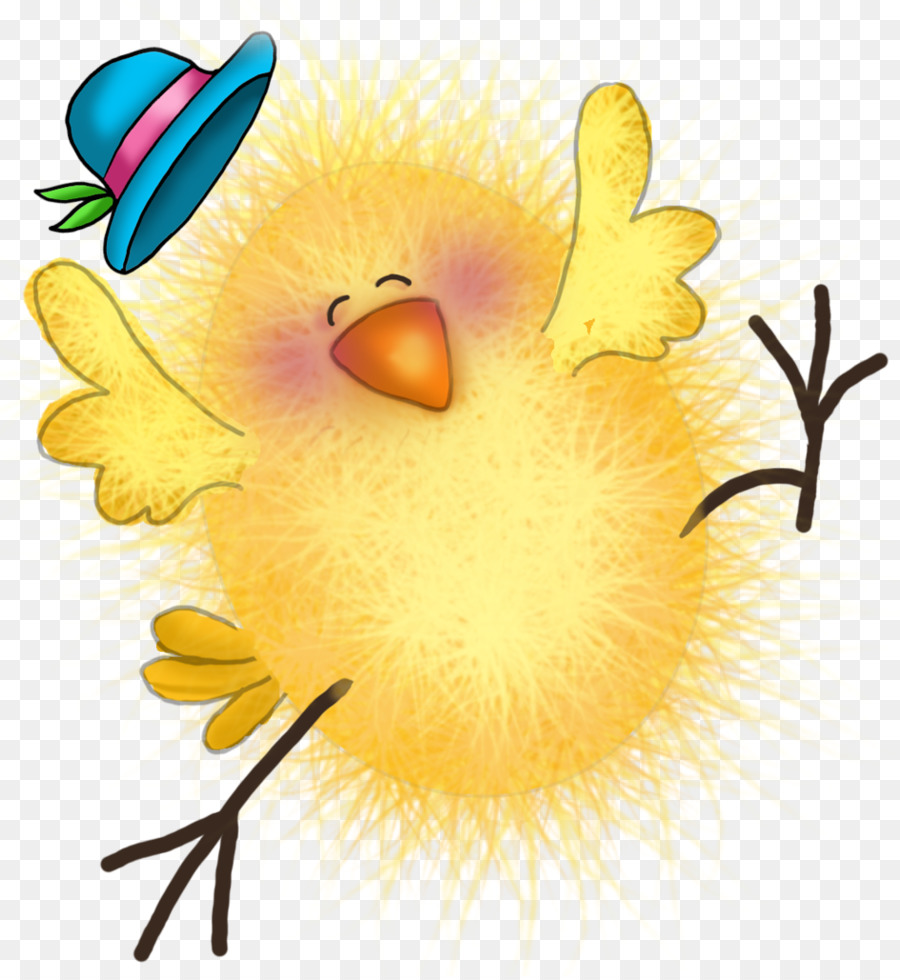 Pollito Amarillo，Sombrero PNG