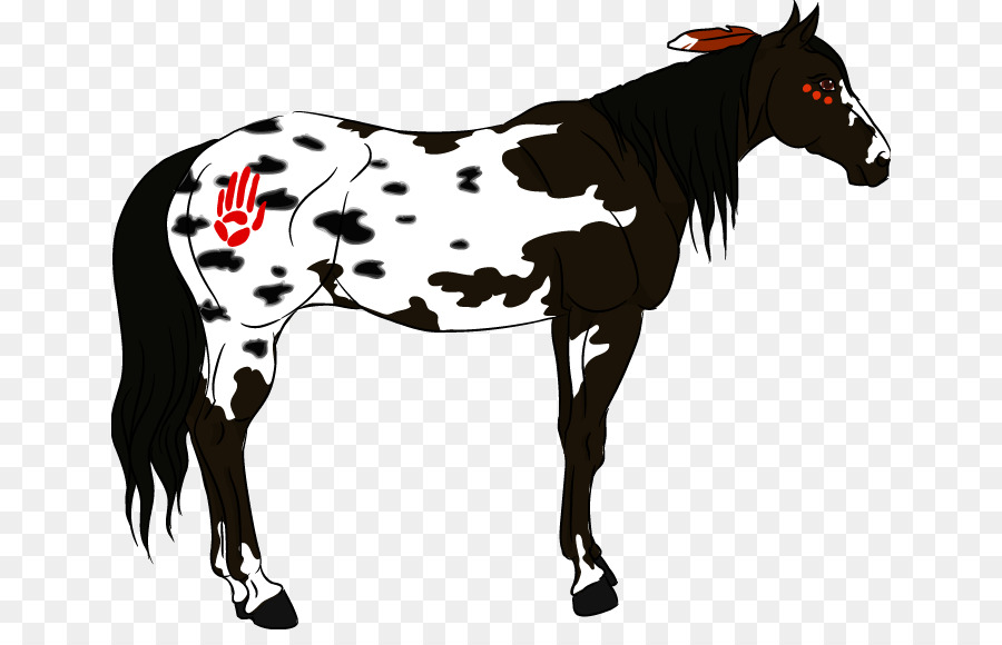 American Paint Horse，Pony PNG