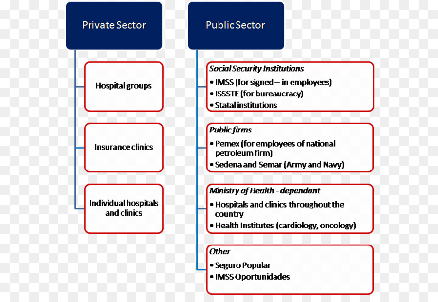 Instituto Mexicano Del Seguro Social，Organización PNG