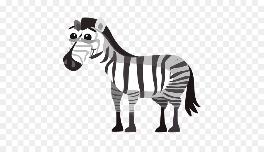 Zebra，Dibujo PNG