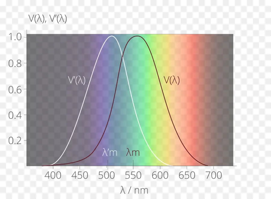 La Luz，Sensibilidad Espectral PNG