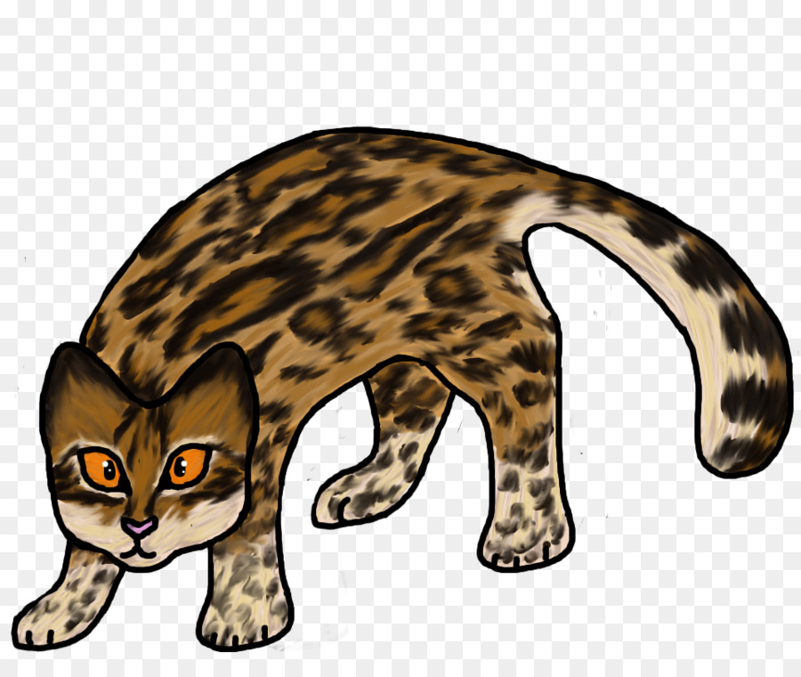 Ocelote，Gato PNG