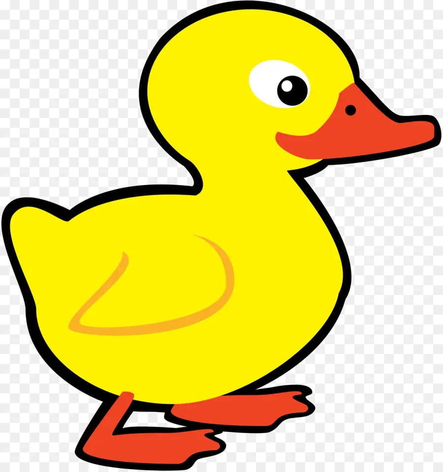 Pato，Dibujo PNG