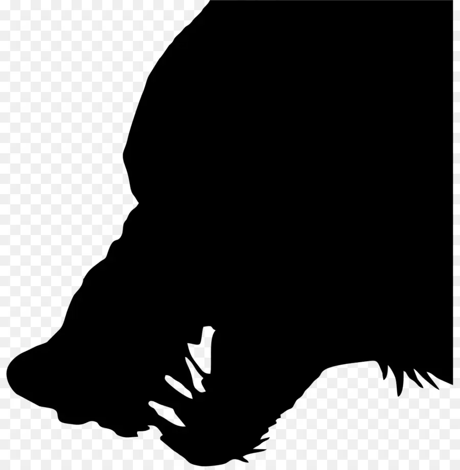 Lobo，Animal PNG