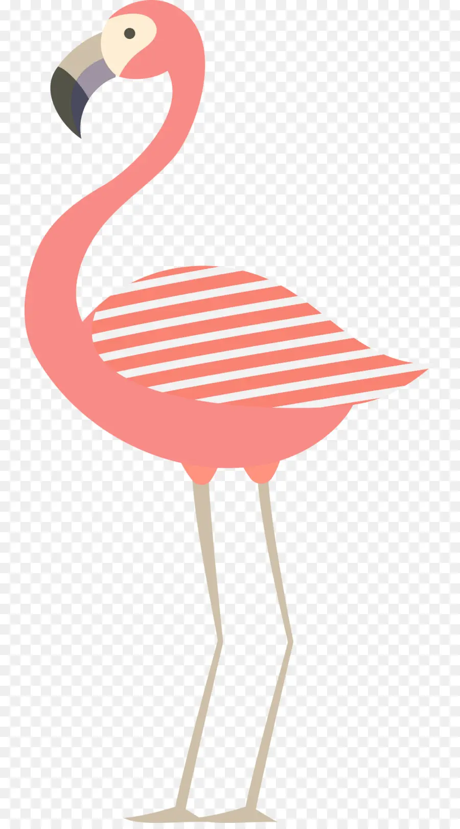 Pájaro，Flamingo PNG