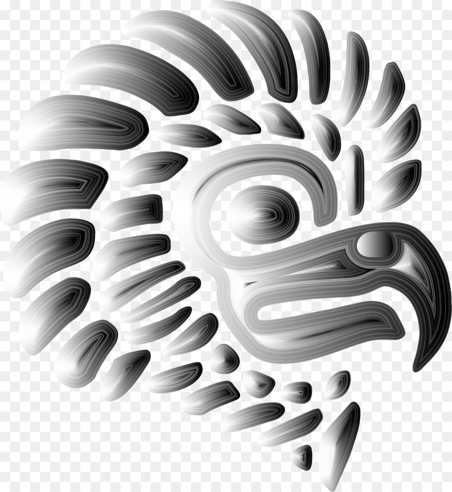 Eagle，Photography PNG