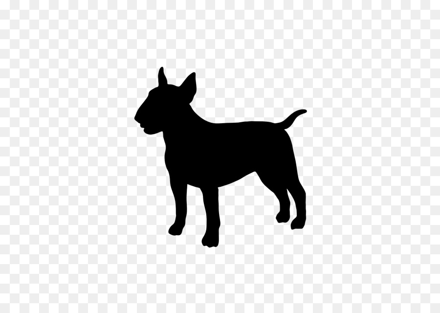 Bull Terrier，Boston Terrier PNG