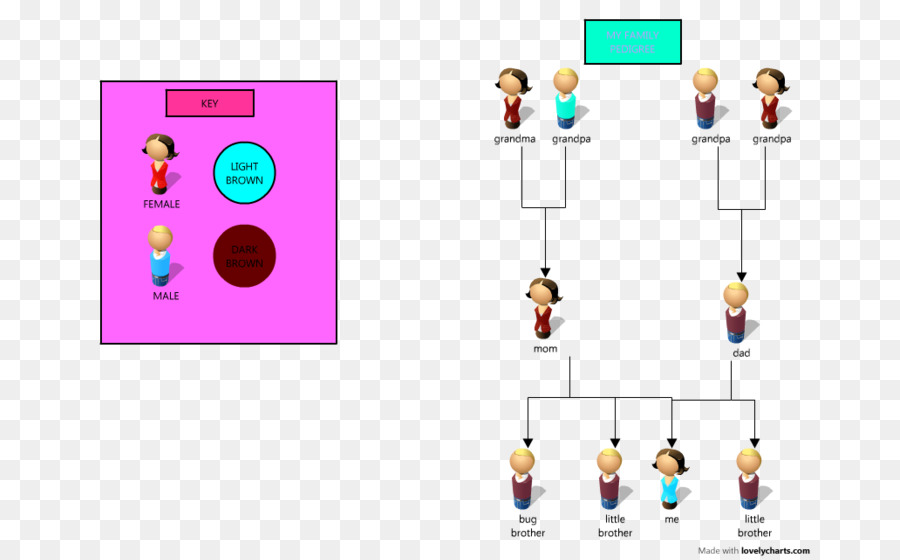 Diseño Gráfico，Diagrama De PNG