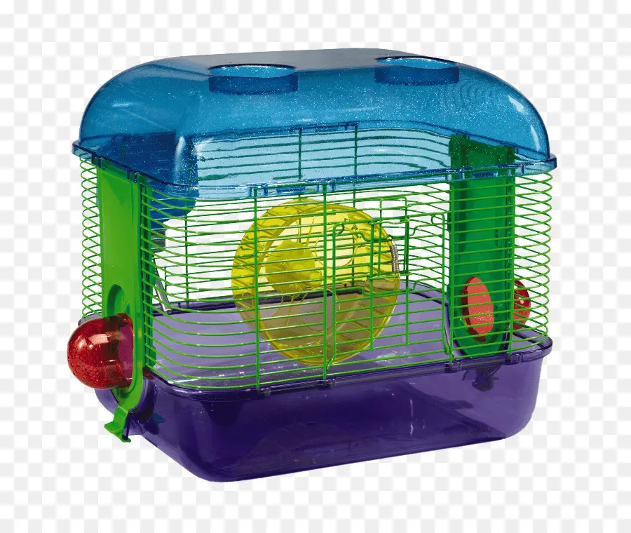 Hámster，Gerbil PNG