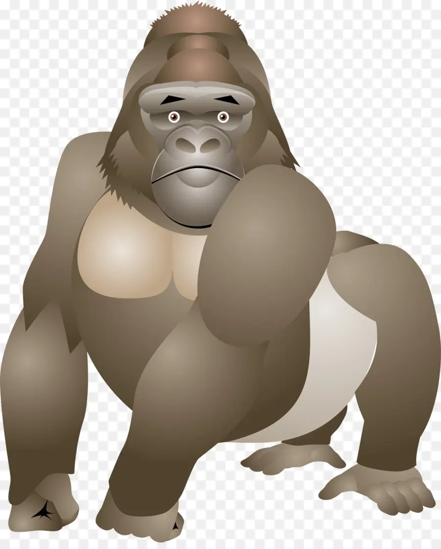 Gorila，Orangután PNG