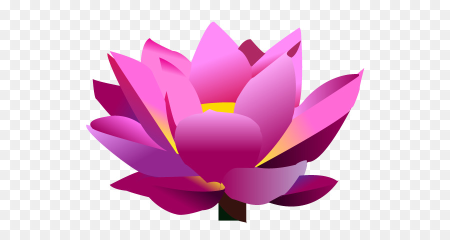 Nelumbo Nucifera，Dibujo PNG