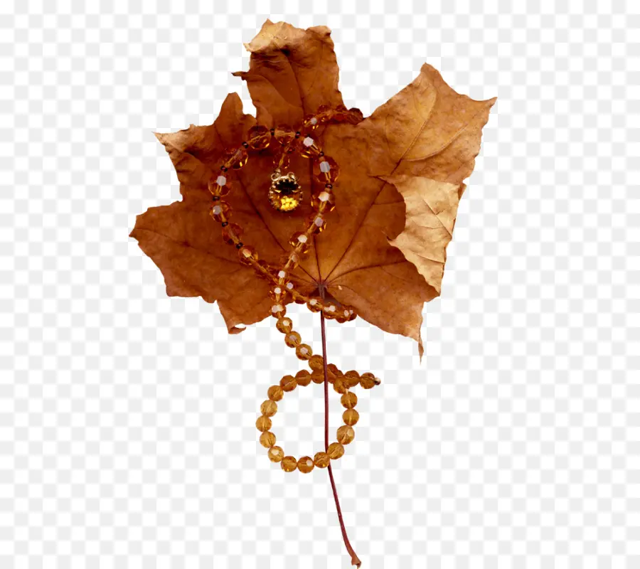 Hoja De Otoño，Hoja PNG