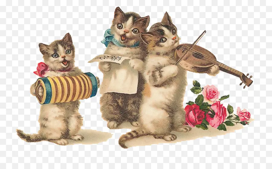 Gatos，Jugando PNG