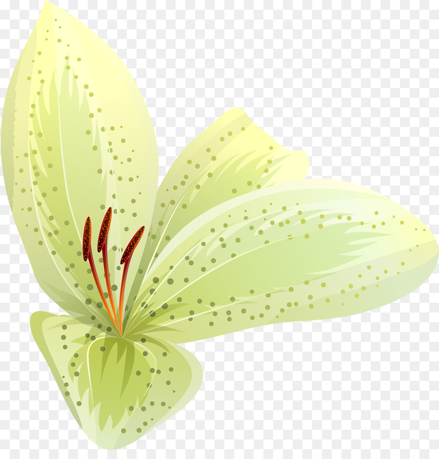 Pétalo，Flor PNG