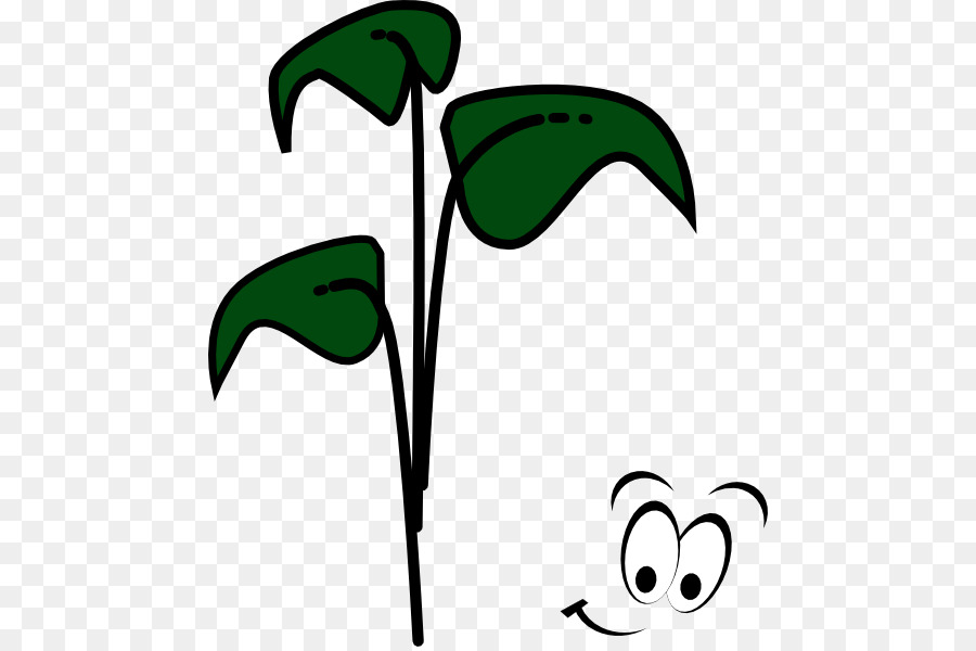 Planta，Hojas PNG