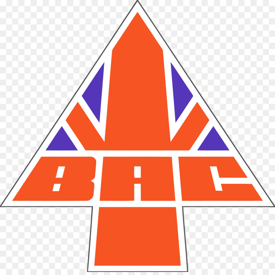 Bac Oneeleven，Aviones PNG