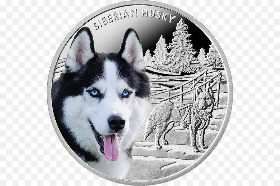 Siberian Husky，Alaskan Malamute PNG