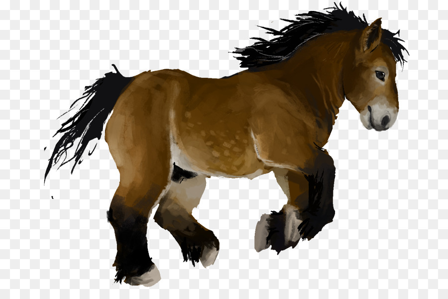 Mustang，Mare PNG