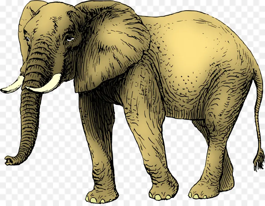 Mamut，Prehistórico PNG