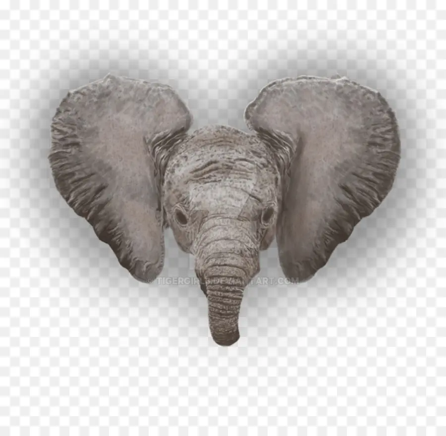 El Elefante Africano，Elefante Indio PNG