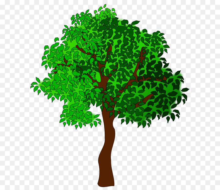 Árbol，Naturaleza PNG