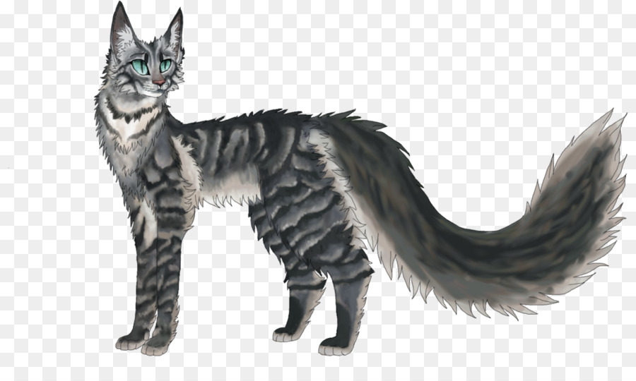 Maine Coon，American Wirehair PNG