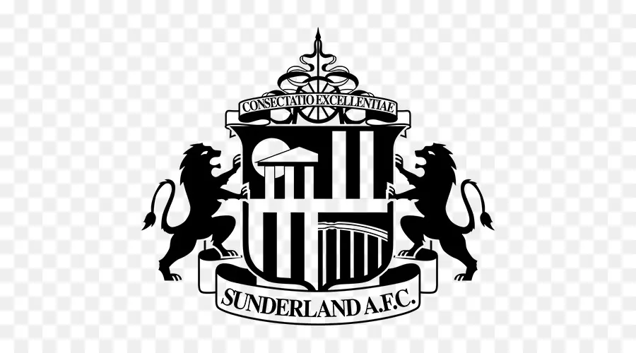 Sunderland Afc Logo，Fútbol Americano PNG