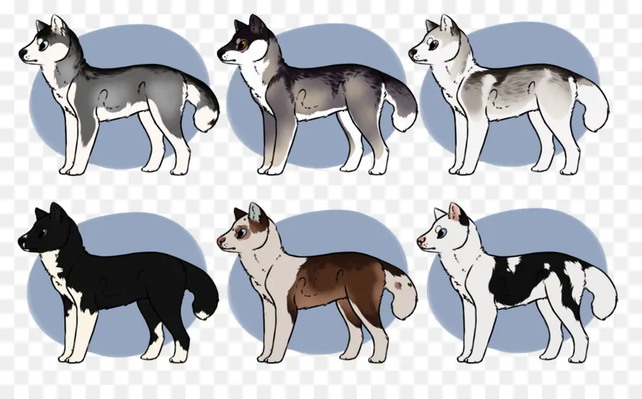 Perros，Caninos PNG