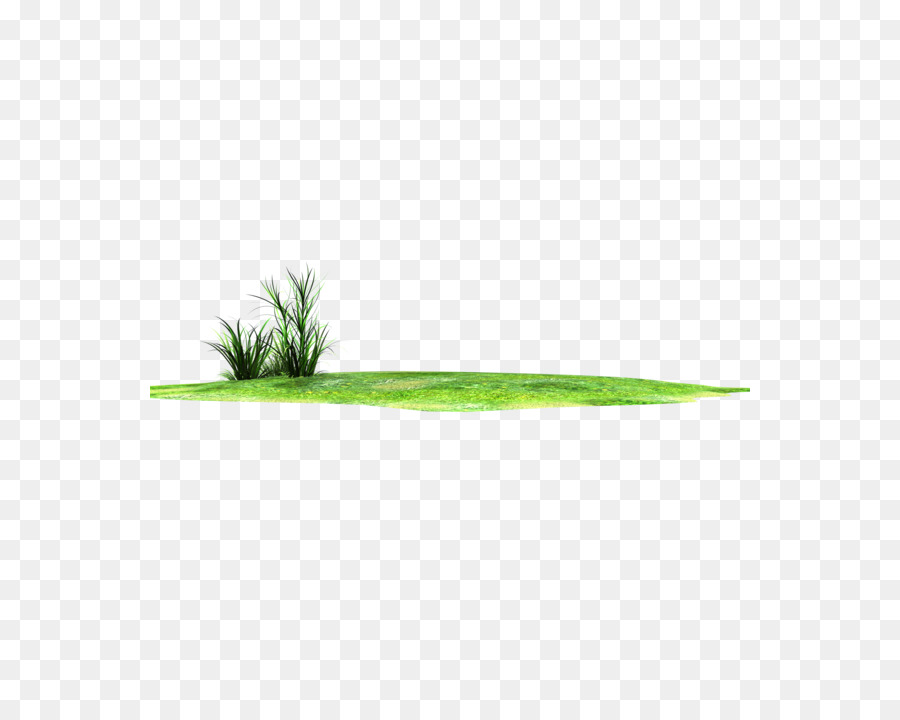 Césped，Planta PNG