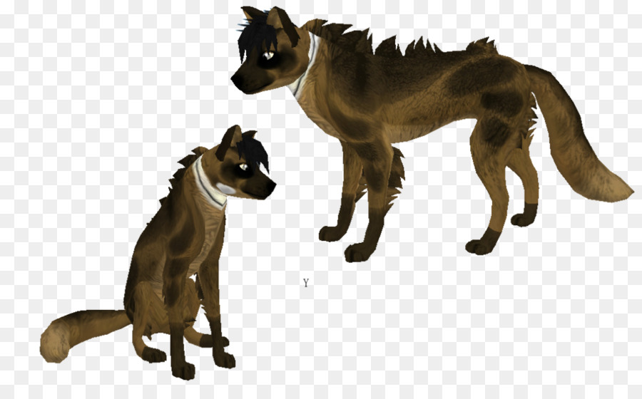 Gato，Perro PNG