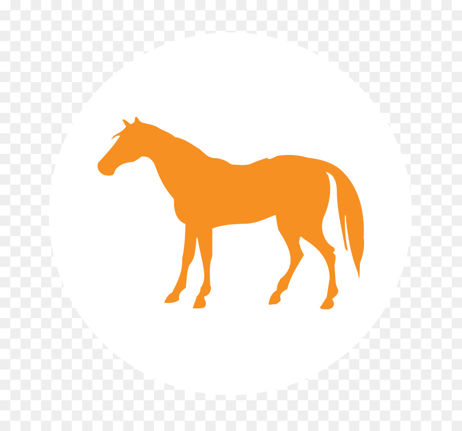 Caballo，El Ganado PNG