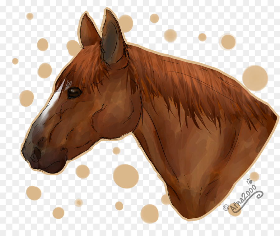 Horse Del Cuarto Americano，Semental PNG