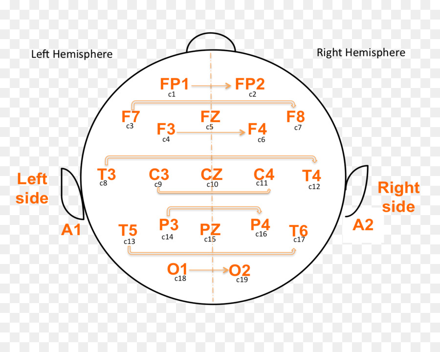 Battement Binaural，Beat PNG