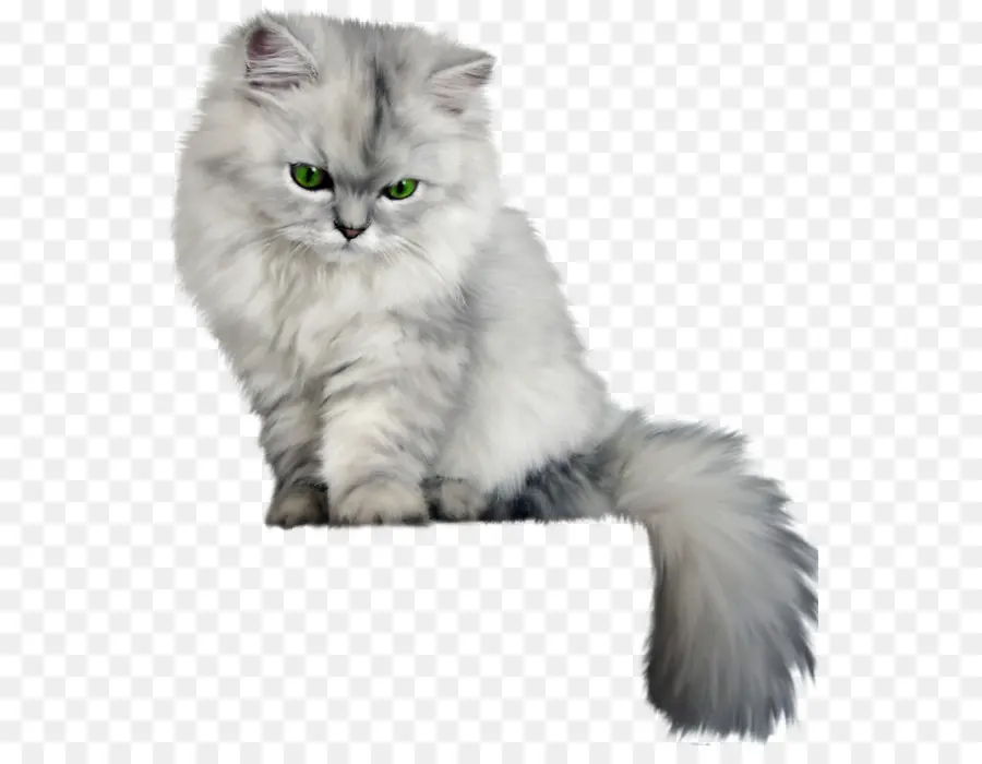 Gato Esponjoso，Gatito PNG